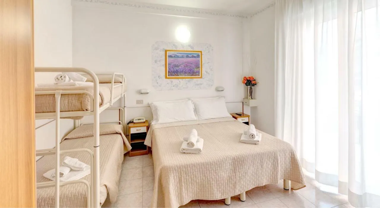 Hotel Niagara 리치오네 3*,